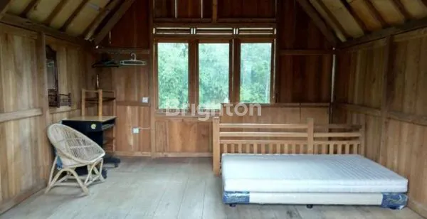 image VILLA KEBUN DENGAN BANYAK POHON BUAH DI PUNCAK GUNUNG HALIMUN BOGOR (8)