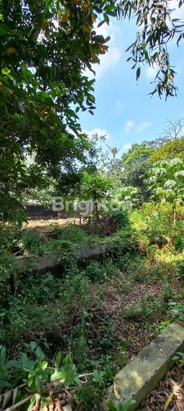 image TANAH & BANGUNAN SRATEGIS DI SAWANGAN (6)