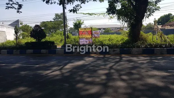 image TANAH PONOROGO 5000M2 (6)