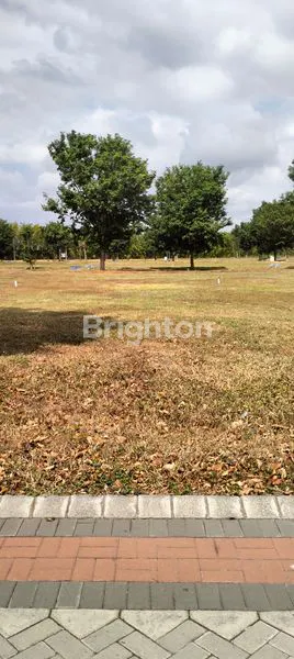 image KAPLING GRAND PAKUWON  (1)