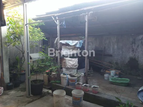 image RUMAH TEMPAT TINGGAL DIJUAL MOJOPURNO  (6)