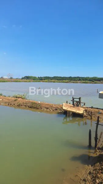 image EMPANG DI JUAL (1)