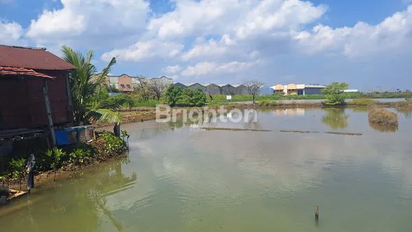 image EMPANG DI JUAL (2)