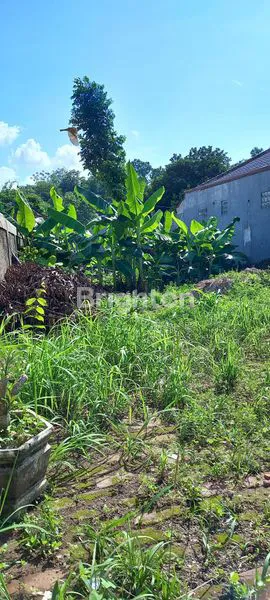 image TANAH LOKASI STRATEGIS (2)