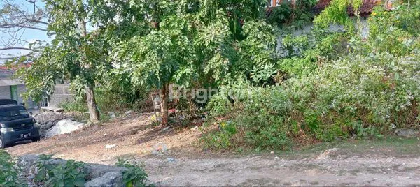 image DISEWAKAN TANAH LOKASI STRATEGIS KAWASAN TOYANING (4)