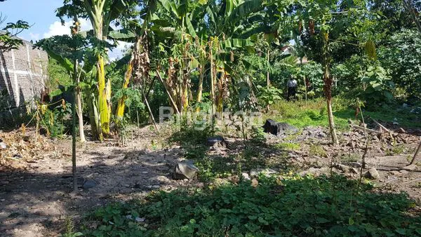 image TANAH DAN BANGUNAN 645M2  PONOROGO KOTA (5)