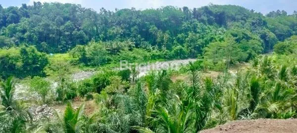 TANAH VIEW LEMBAH SUNGAI AREA SIDEMEN KARANGASEM