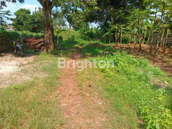image KAVLING DI RAWA KUTUK PONDOK JAGUNG TANGSEL (5)