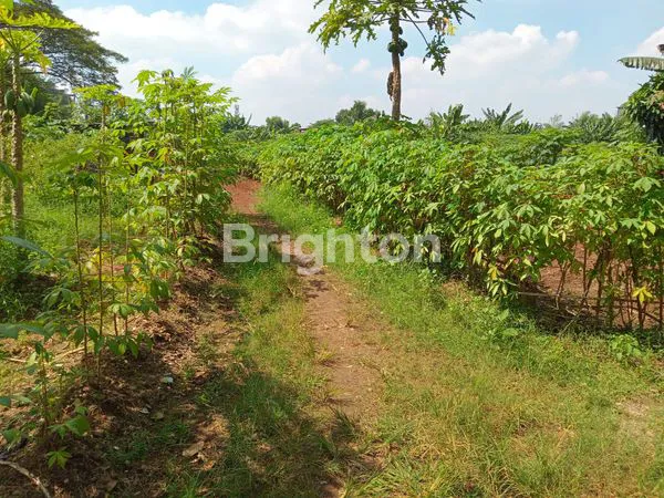 image KAVLING DI RAWA KUTUK PONDOK JAGUNG TANGSEL (6)