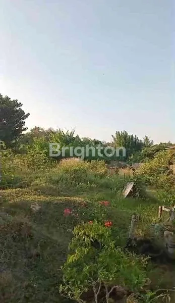 image TANAH PREMIUM 10,4 ARE DI KAWASAN PANDAWA (1)