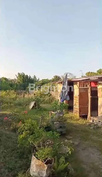 image TANAH PREMIUM 10,4 ARE DI KAWASAN PANDAWA (2)