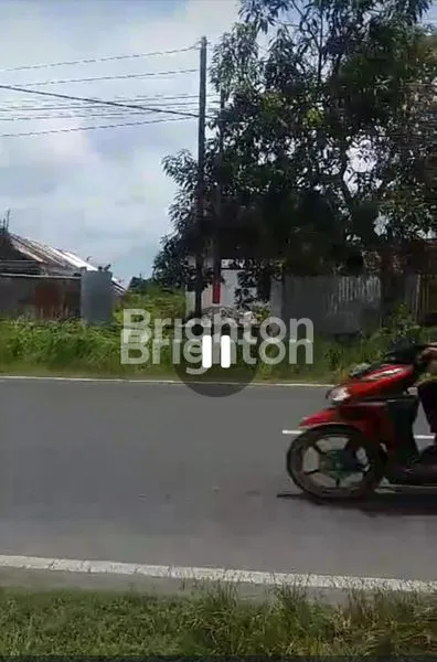 Gambar Property TANAH INDUSTRI DI NOL JALAN CERME GRESIK