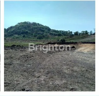 image TANAH INDUSTRI 2,78 HA DI PASURUAN, SIAP PAKAI (1)