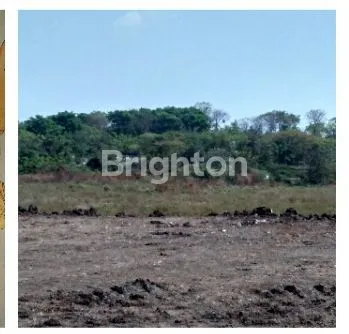 image TANAH INDUSTRI 2,78 HA DI PASURUAN, SIAP PAKAI (3)