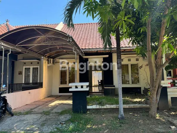 image PURIMAS MERR (1)