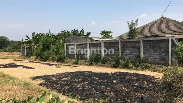 image TANAH LUAS (1)