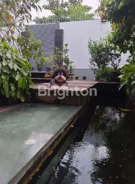 image RUMAH TELAGA GOLF BSD (8)