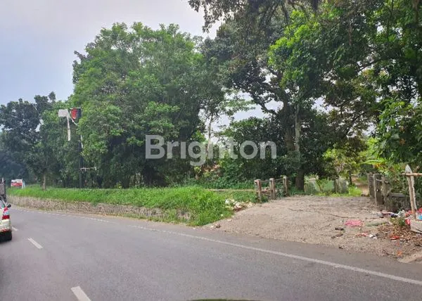 image TANAH LUAS PINGGIR JALAN RAYA DRAMAGA BOGOR (1)