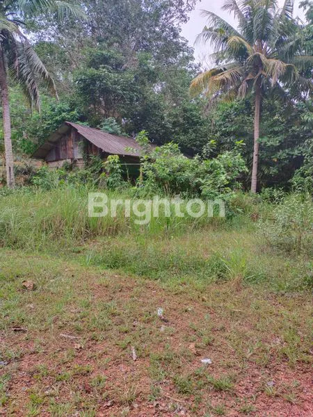 image LAHAN TANAH DI JUAL DI TANJUNG PINANG (1)