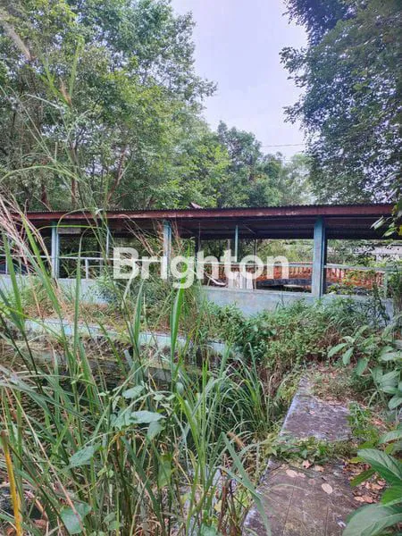 image LAHAN TANAH DI JUAL DI TANJUNG PINANG (7)