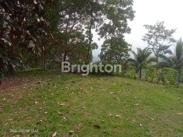 image RUMAH + TANAH (3 HEKTAR) SUKABUMI (4)