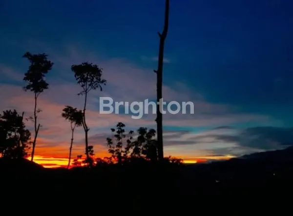 image RUMAH + TANAH (3 HEKTAR) SUKABUMI (5)