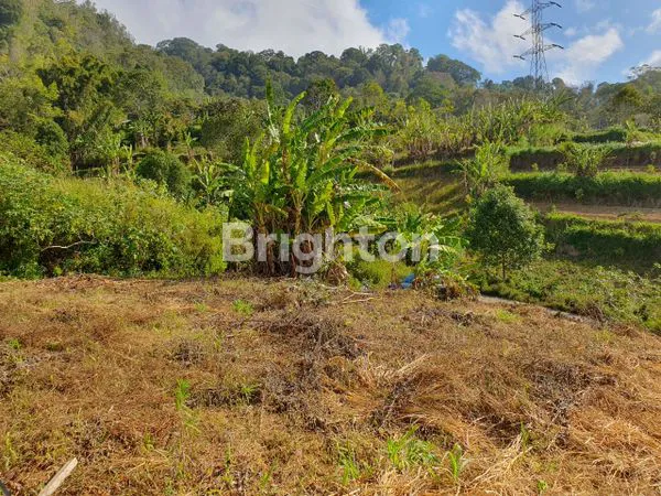 TANAH PREMIUM STRATEGIS VIEW LANGSUNG DANAU BEDUGUL