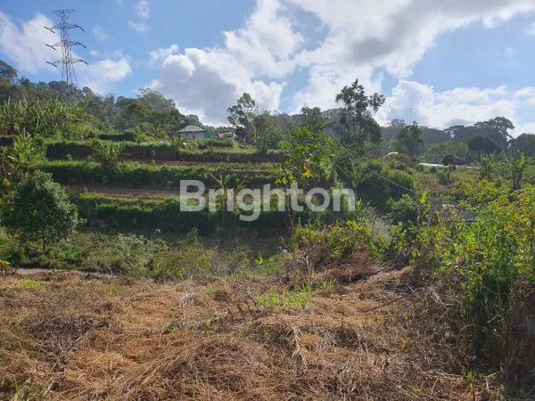 image TANAH PREMIUM STRATEGIS VIEW LANGSUNG DANAU BEDUGUL (2)