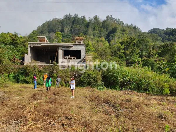 image TANAH PREMIUM STRATEGIS VIEW LANGSUNG DANAU BEDUGUL (5)