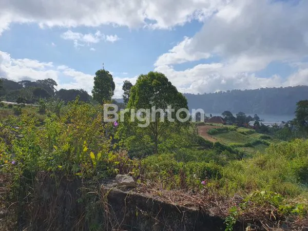 image TANAH PREMIUM STRATEGIS VIEW LANGSUNG DANAU BEDUGUL (6)