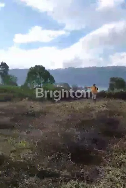 image TANAH PREMIUM STRATEGIS VIEW LANGSUNG DANAU BEDUGUL (7)