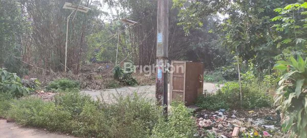 image TANAH KOSONG PADAT SIAP BANGUN DI CISAUK (1)