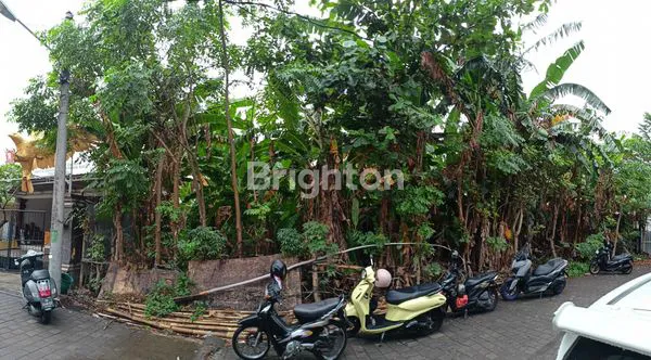 image DISEWAKAN LAHAN BAGUS TANTULAR RENON (1)