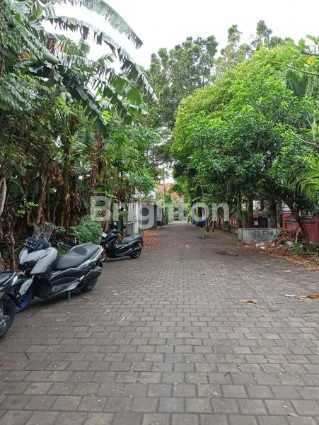 image DISEWAKAN LAHAN BAGUS TANTULAR RENON (5)