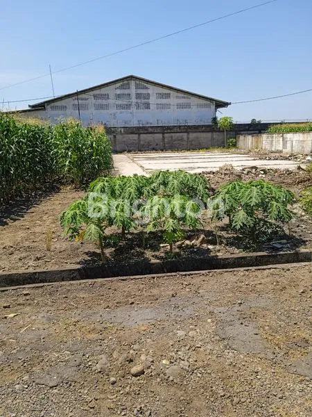 image TANAH BONUS 3 GUDANG (6)