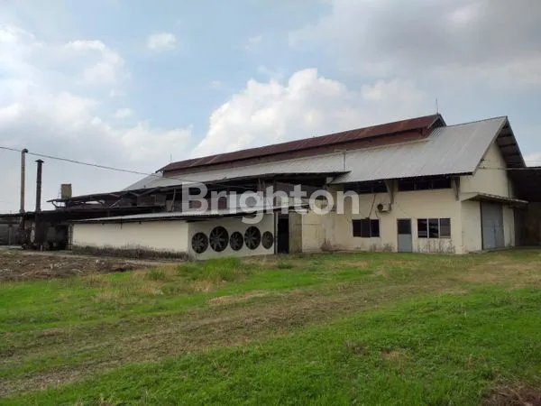 image TANAH BONUS 3 GUDANG (7)