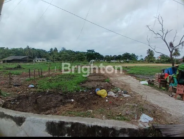 image DIJUAL TANAH/LAHAN PINGGIR JALAN POROS BATAKAN COCOK DIBUAT PABRIK, GUDANG, WORKSHOP DAN USAHA LAINNYA HARGA NEGO (4)