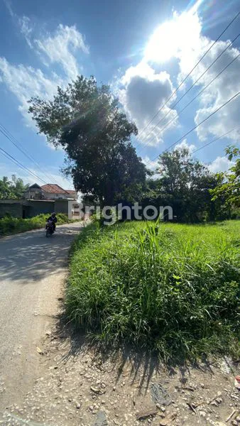 DIJUAL TANAH STRATEGIS DI AREA KAPOR BANGKALAN MADURA