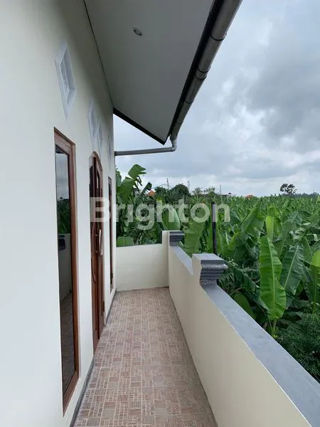 image RUMAH MURAH DI TABANAN (5)