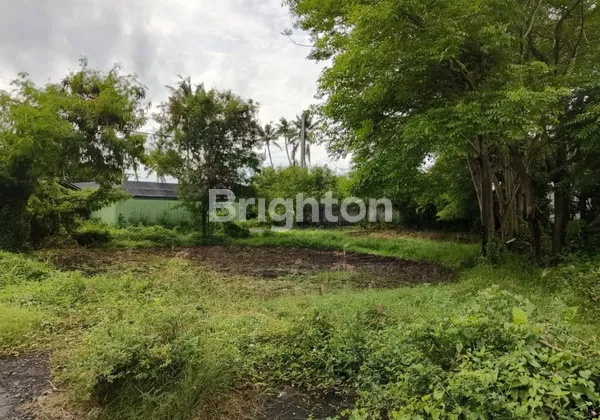 TANAH LOKASI STRATEGIS DI KETEWEL, GIANYAR – DEKAT PANTAI RANGKAN & BY PASS IDA BAGUS MANTRA – COCOK UNTUK INVESTASI & MENDATANGKAN PASSIVE INCOME