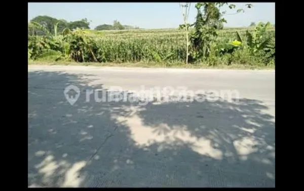 TANAH DI MOJOKERTO POSISI STRATEGIS NOL RAYA COCOK BUAT INDUSTRI