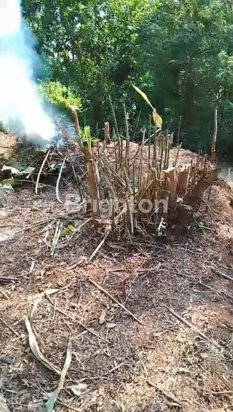 image DIJUAL MURAH TANAH KAVLING GUNUNGPATI SIAP BANGUN (1)