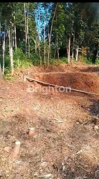 image DIJUAL MURAH TANAH KAVLING GUNUNGPATI SIAP BANGUN (4)