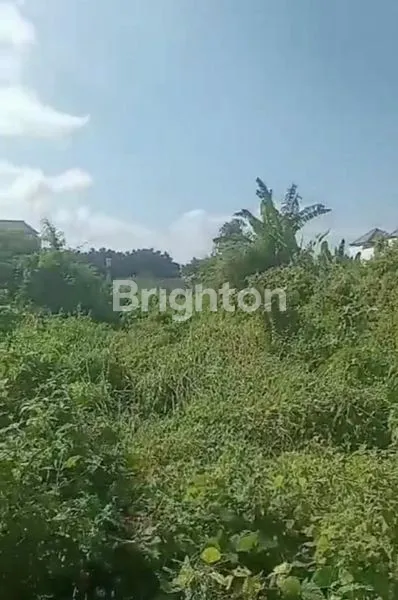 image JUAL TANAH RENON (2)