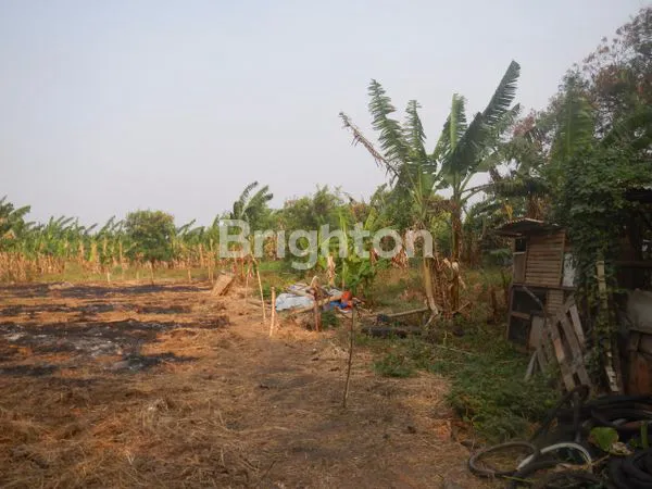 image TANAH LINGKAR LUAR BARAT, CENGKARENG TIMUR, ZONA UNGU, IJIN KOMERSIAL 24 LANTAI (2)