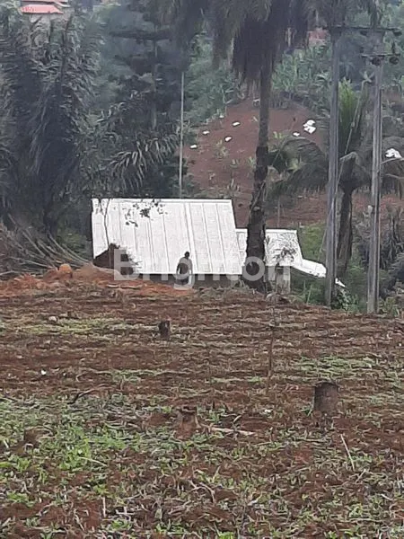 image JUAL TANAH KOSONG (3)