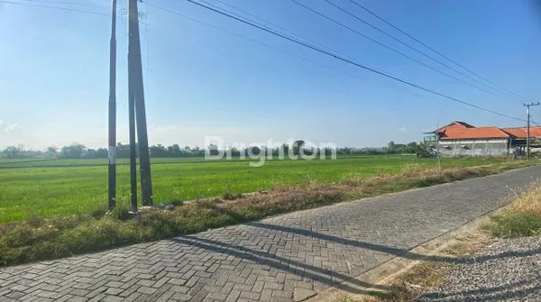 image TANAH SHM CALON PERUMAHAN  (1)