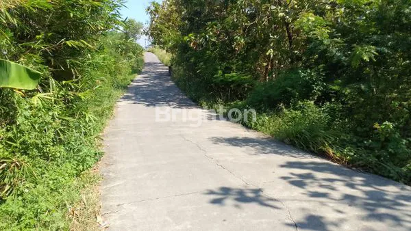 image LAHAN STRATEGIS DI DAERAH SAMBIREJO,BRINGIN,KABUPATEN SEMARANG (1)