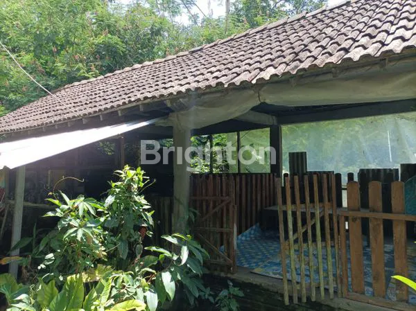 image GUDANG STRATEGIS BONUS GASEBO DI SALATIGA (3)