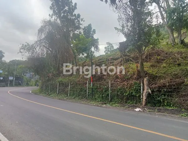 image JUAL TANAH PADANG BAI KARANGASEM (1)